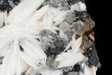 Cerussite Crystals with Bladed Barite on Galena- Morocco #44785-3